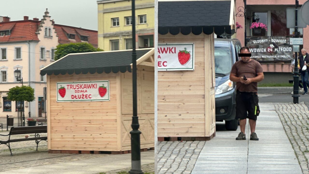 Słodki biznes na gminnym mieniu? Przez truskawki radny może stracić mandat