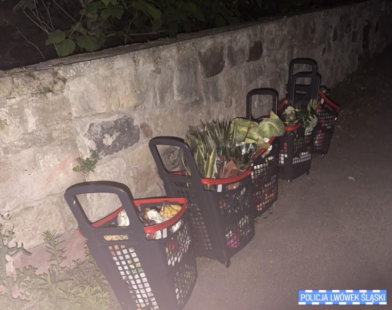 Nieudana próba kradzieży we Wleniu. 30-latek ukrywał się w trawie