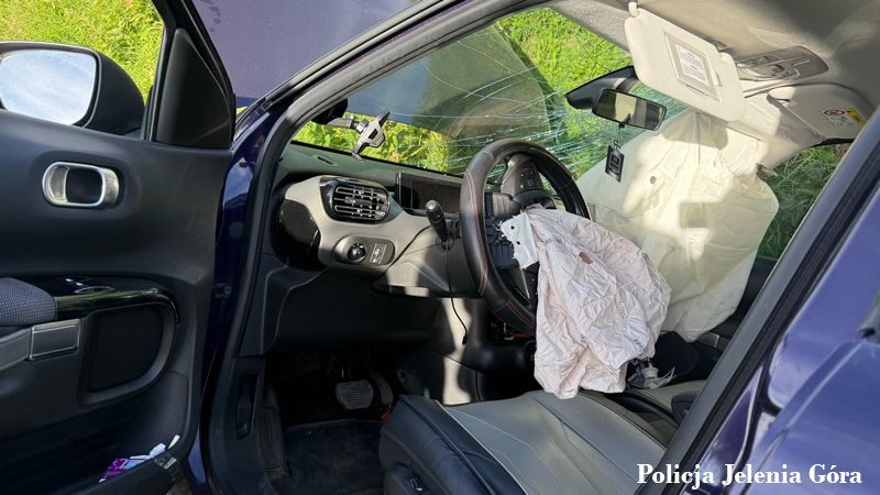 Owad w samochodzie rozproszył kierującą. Citroen wypadł z drogi